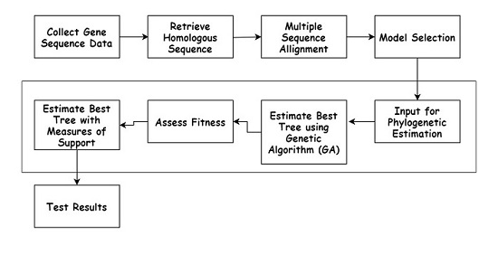 Estimation of Phylogenetic Tree using Gene Sequencing Data